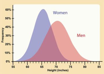 Statistical Sampling and the Normal Bell Curve